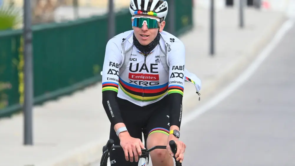 17656516076129906043