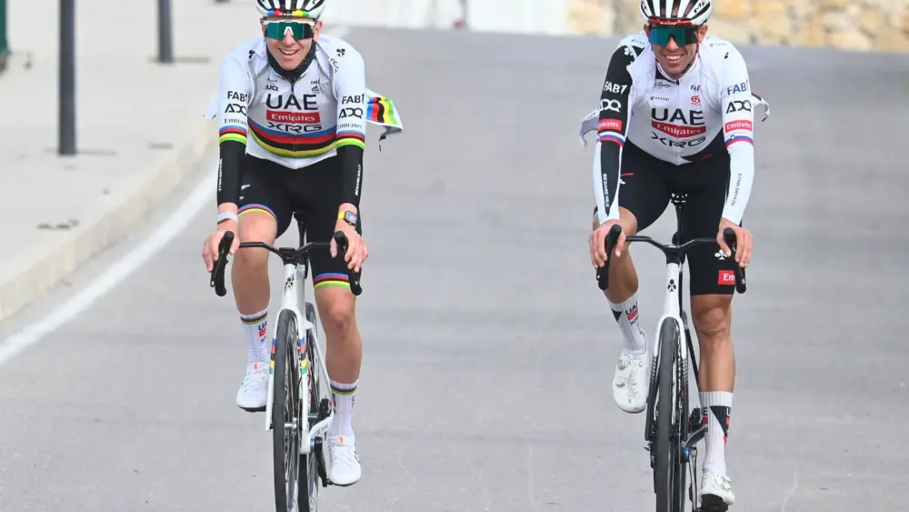 17656544119080127347