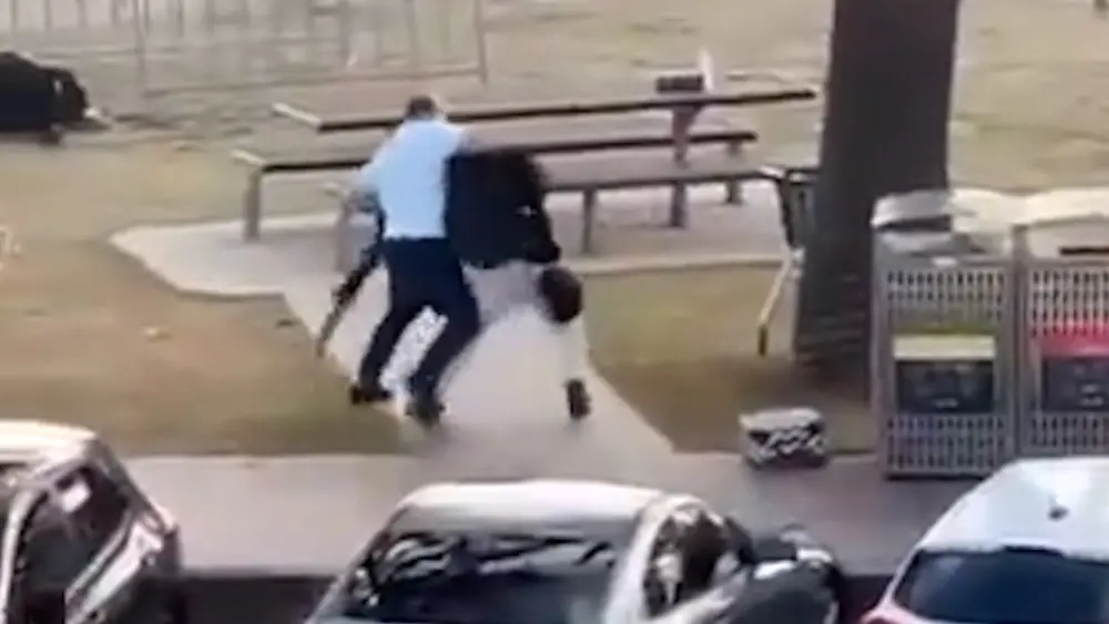 17657139557071753873