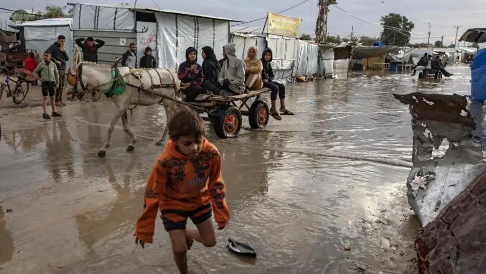 17658203080522236512