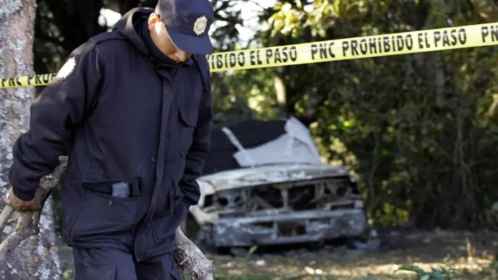 17660136433360818803