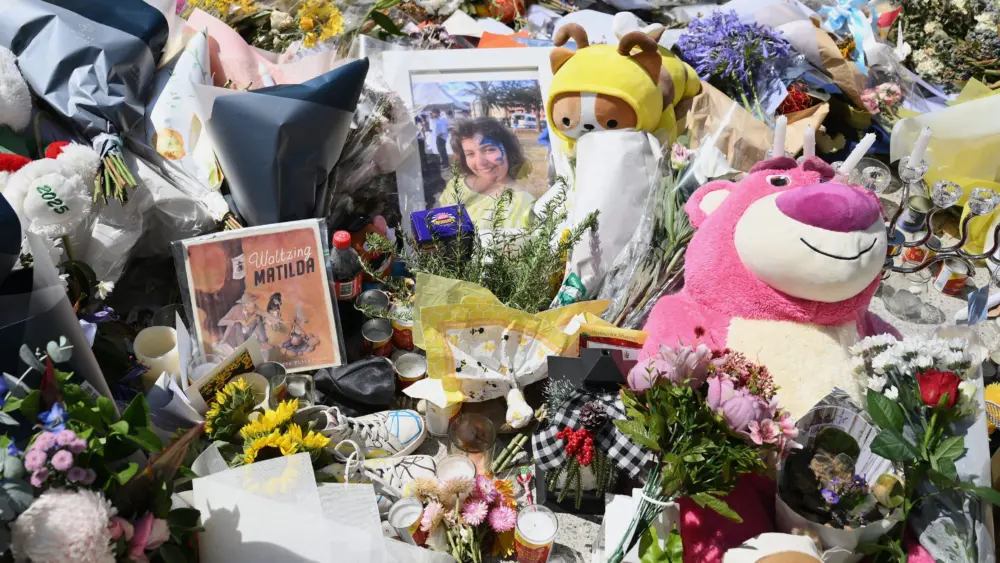 17660571923126761288