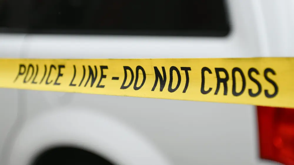 17680655788514644708