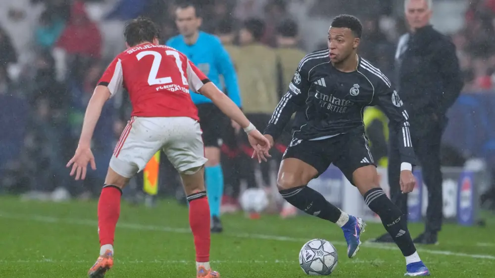 17697725162332383141