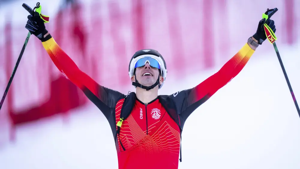 17703789017545526467