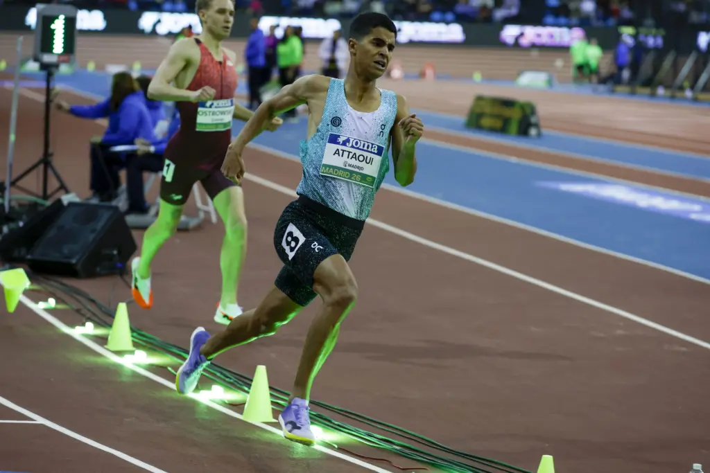 17704115874658282045