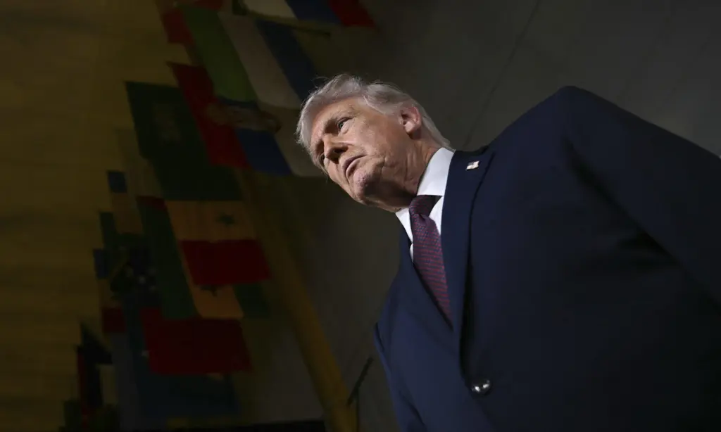 17703159069551813369