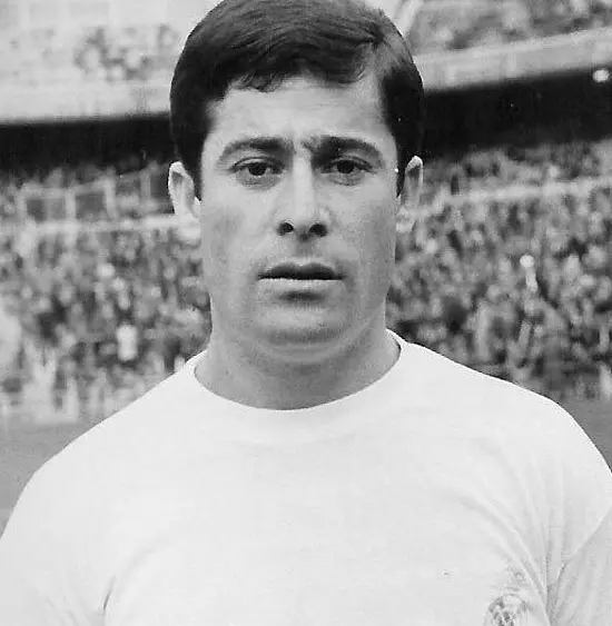 17704901524306435779