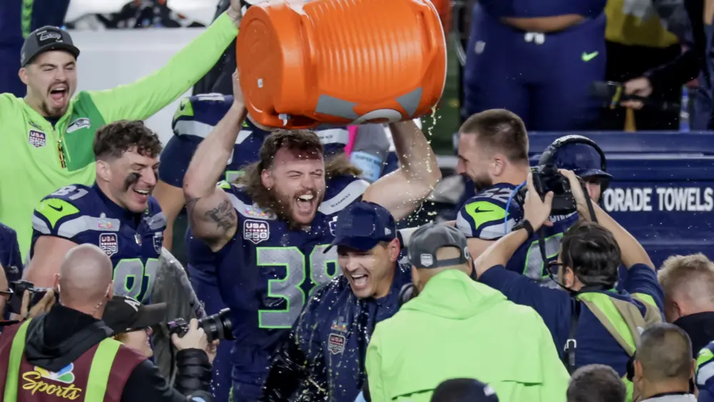 17706089878026284995