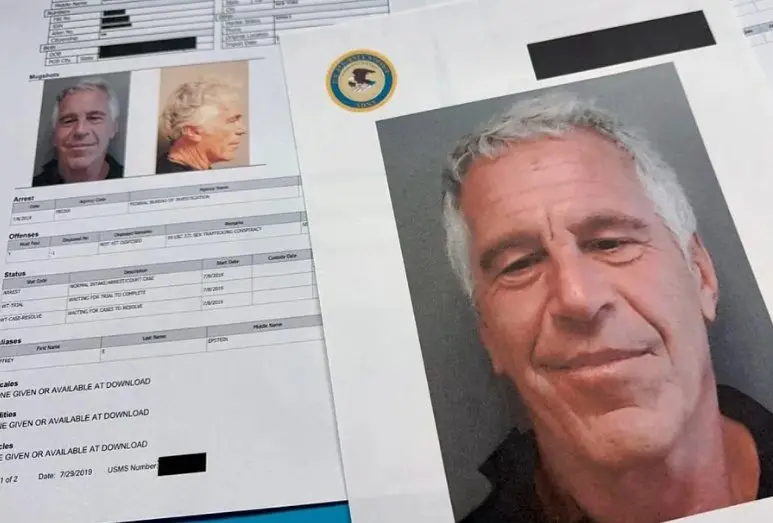 17711088865261605880