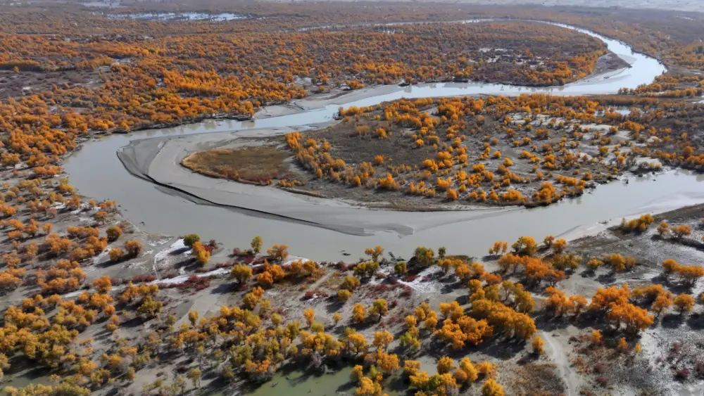 17714272362634994758