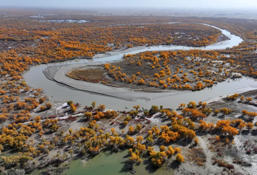 17714272362634994758