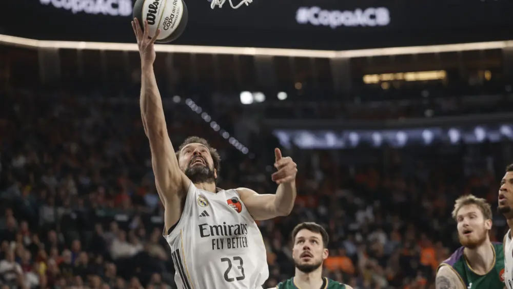 17715365056005335541