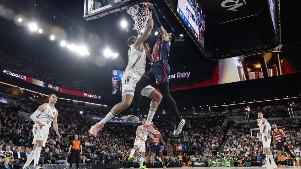 17717887559145148028