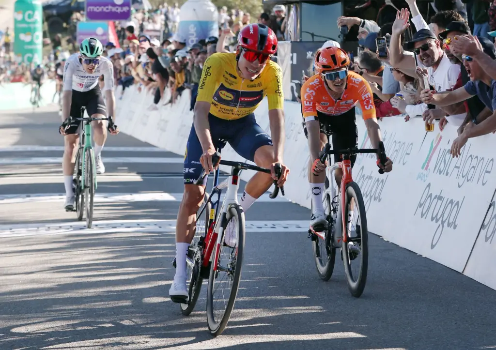 17718642442143453871