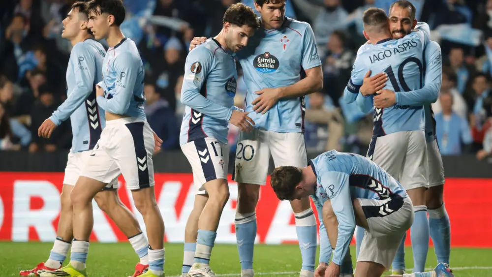 17721423333087389869