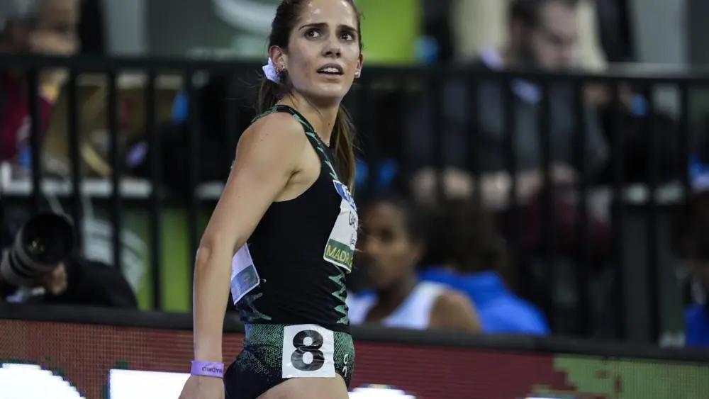 17723089028563239205