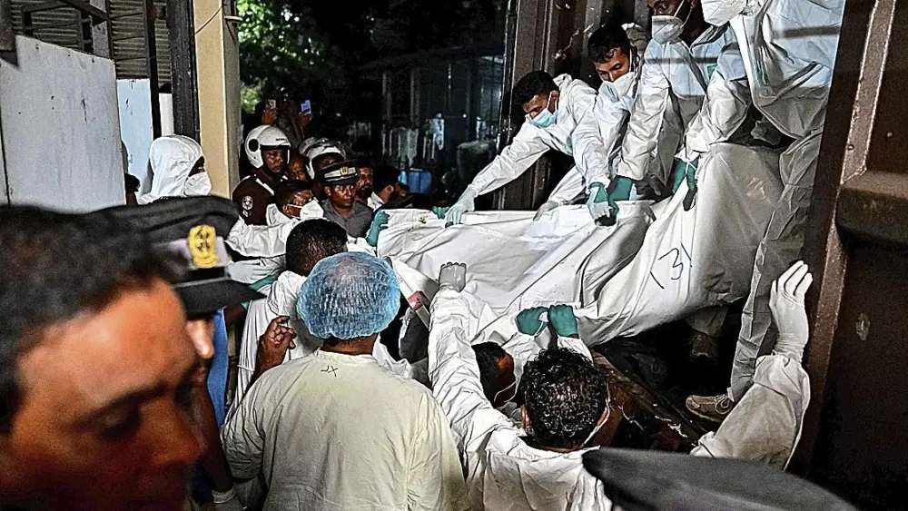 17726525574549247532