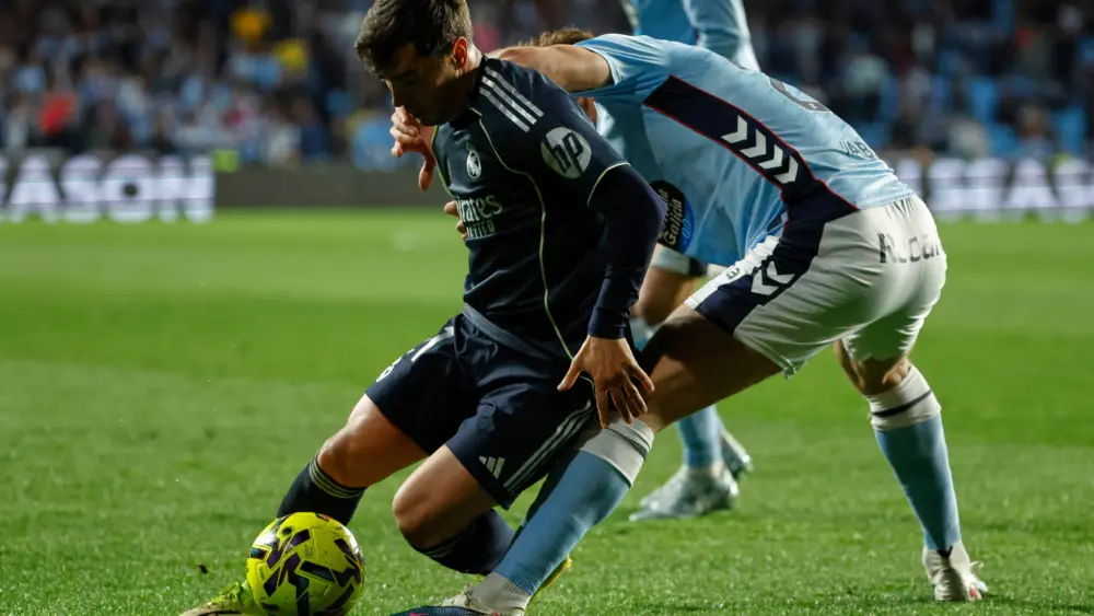 17728357947078234191