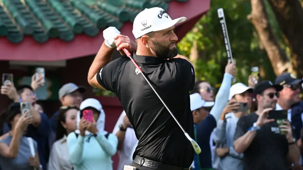 17729619635524819181