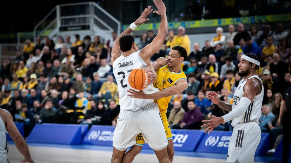 17730009930302586819