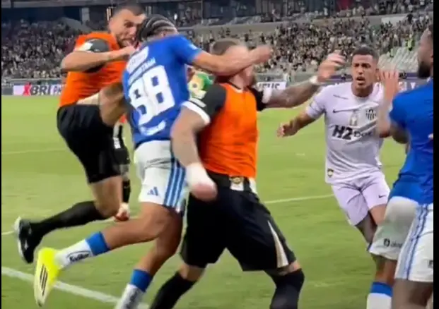 17730755141324960173