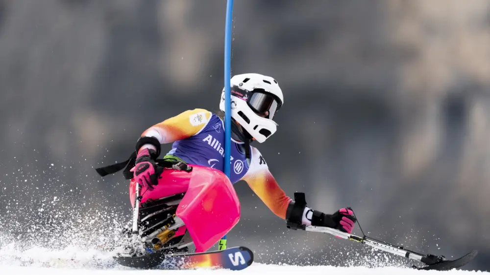 17731704183734660413