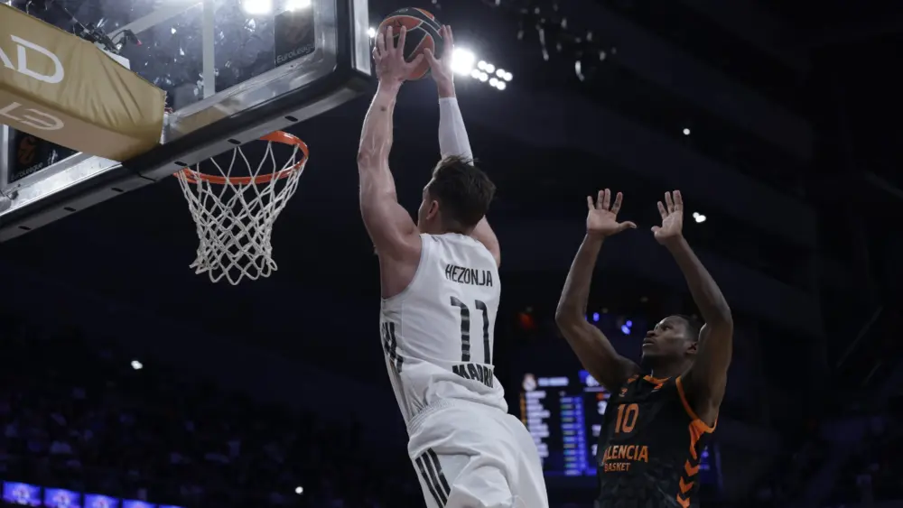 17733498811930538181