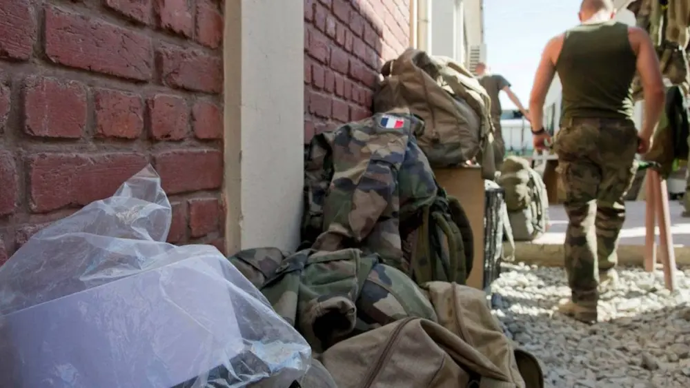 17733552277709810085