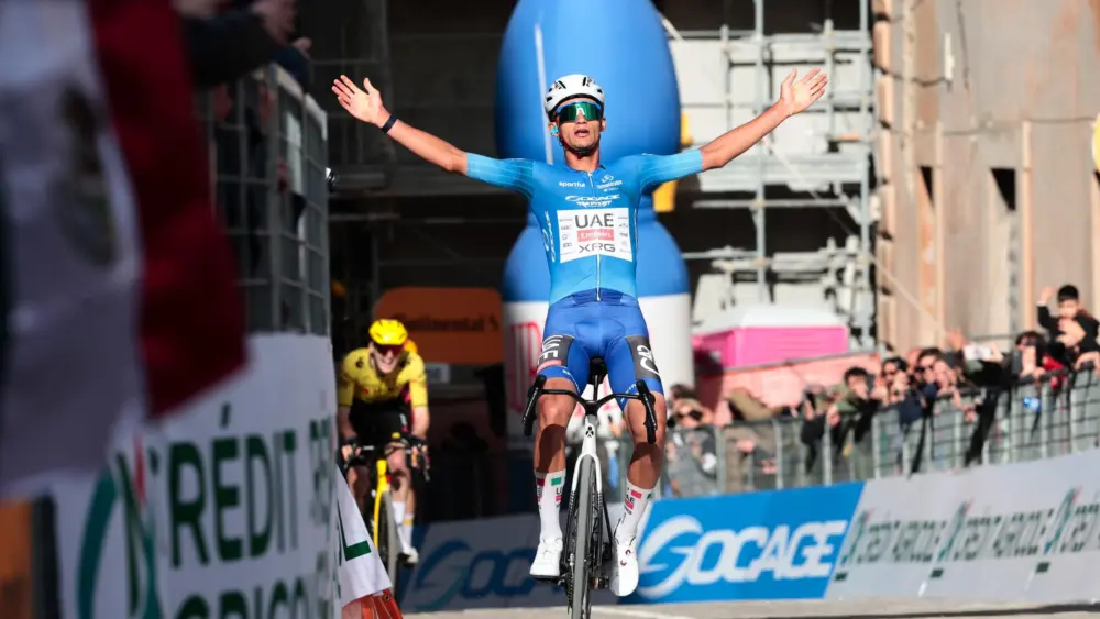 17735836348972342414