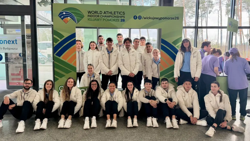 17739168050847716529