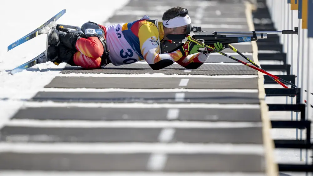 17734690442283294502