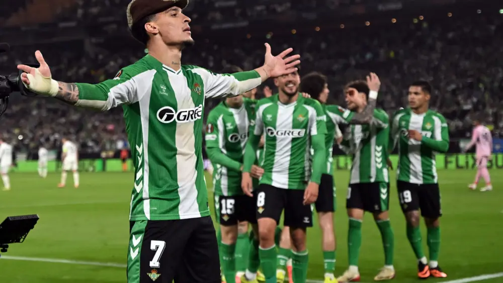 17739584569313658266