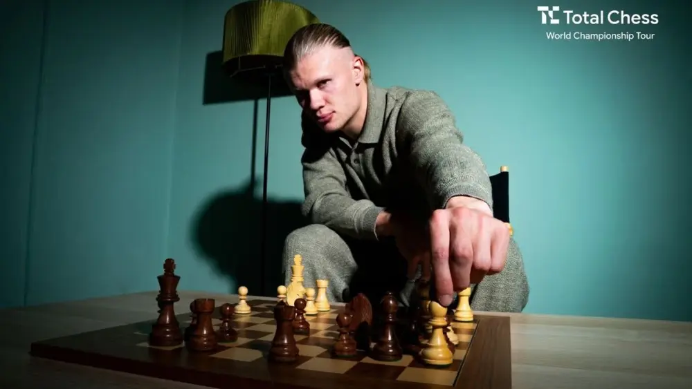 17740140137468671926