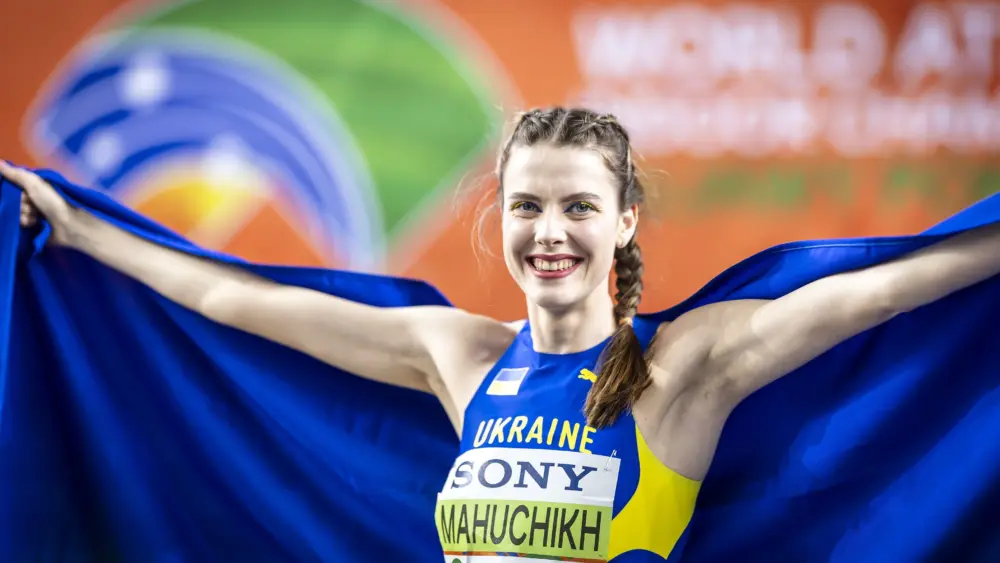 17740400643530525585