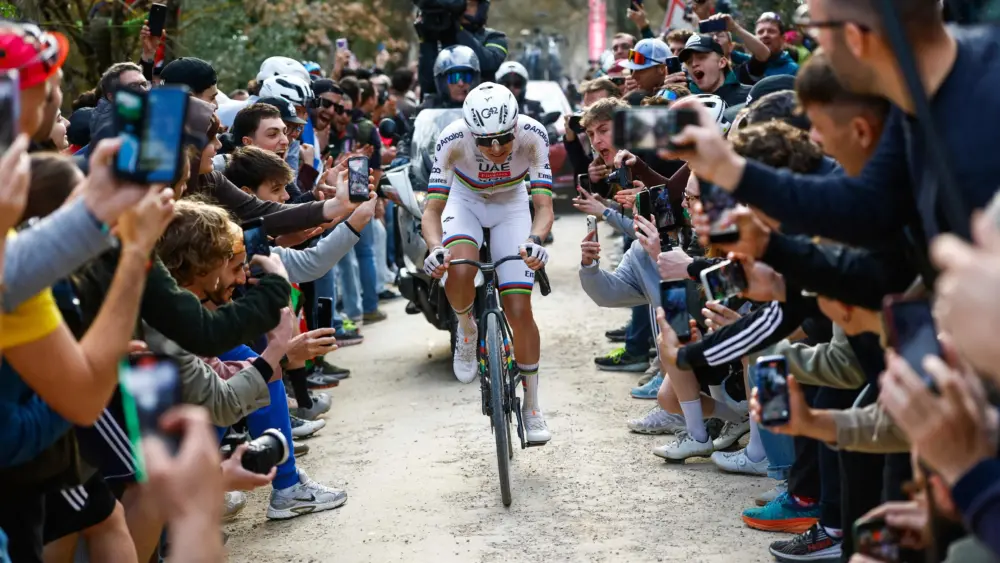 17738499033989855367