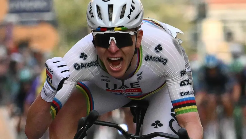 17741102773480826193