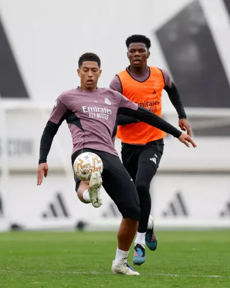 17740996693741993501