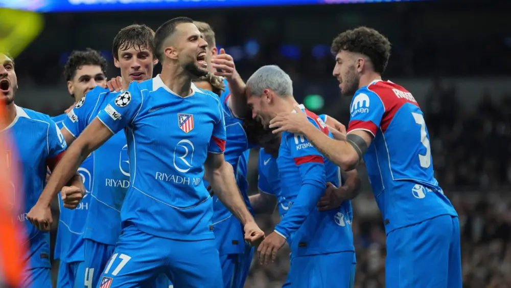 17740146926330295983