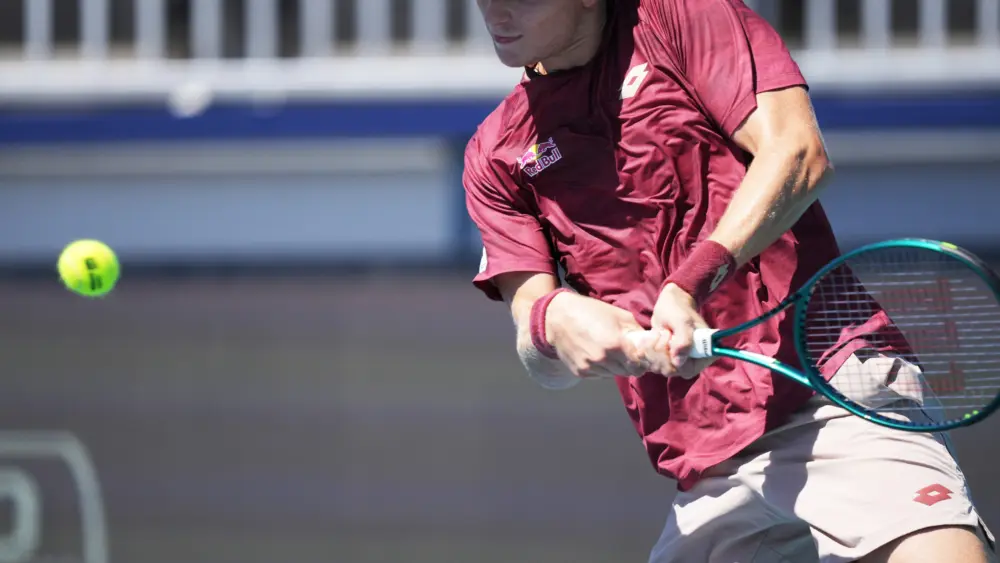 17743728825730396009