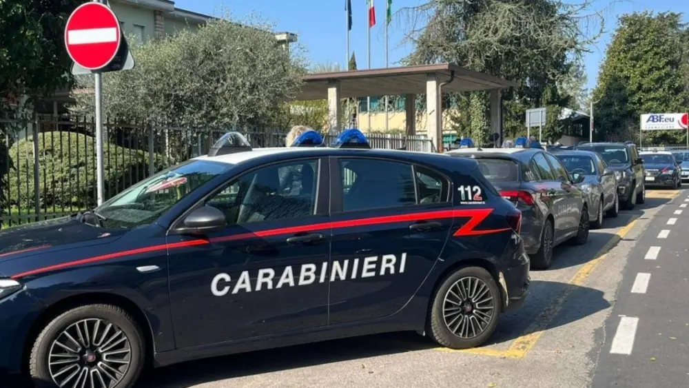 17744349123366672746