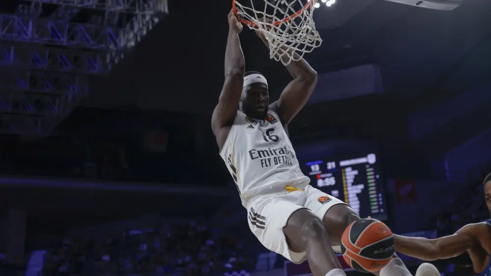 17745573894955693084