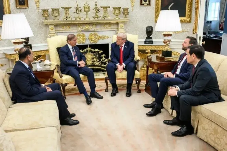 17745765410572376473