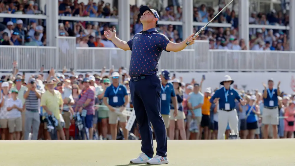 17748859260129659291