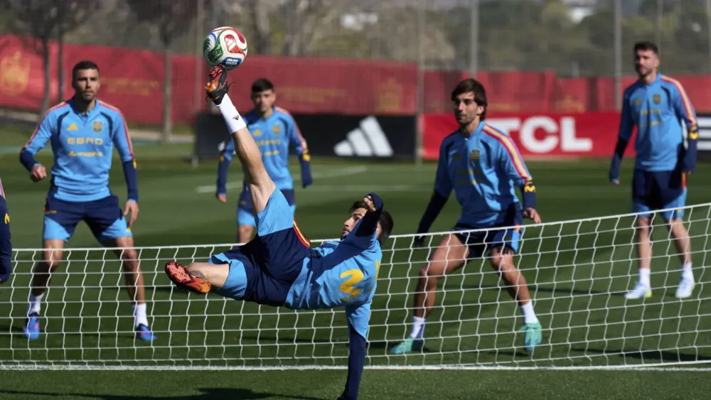 17750383966647440553