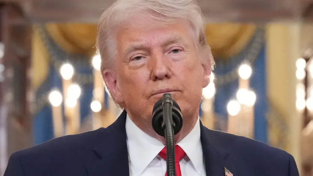 17753193351723359576