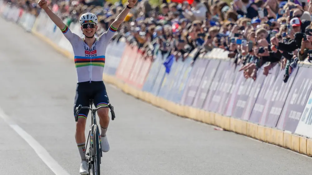 17754015259464985197