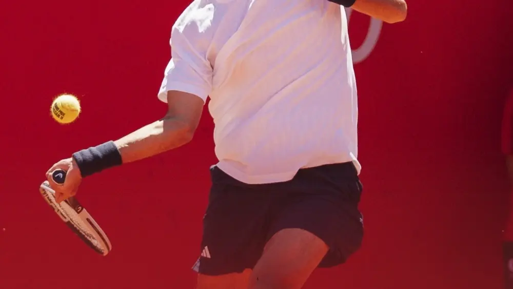 17754073838011920361