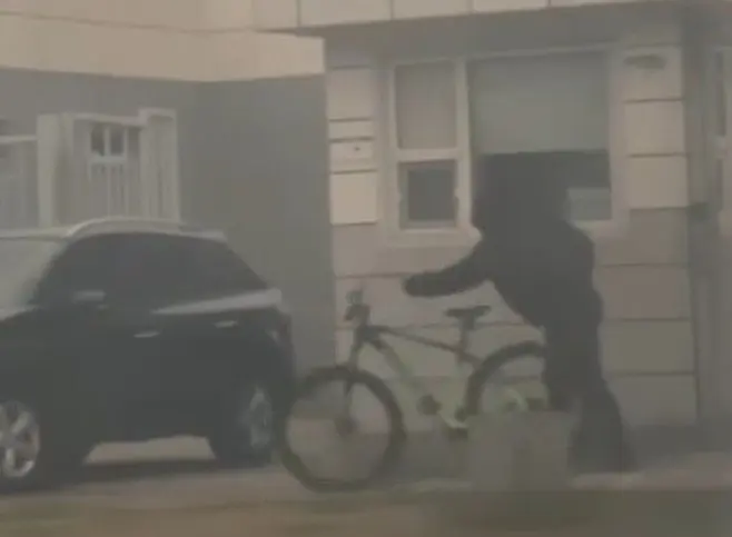 17758174072203309449