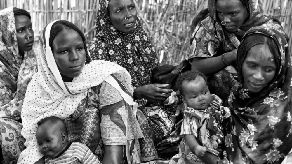 17764434649206168594